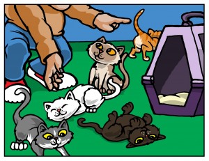 here-kitty-kitty-Cat-Herding