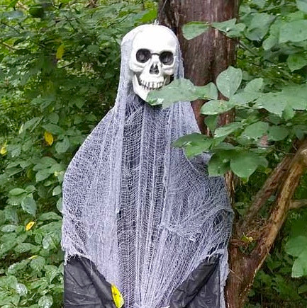 Creepy Noises, Haunted Roads, and Eerie Echoes - Tour Schemes Completed