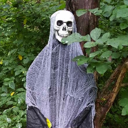 plastic ghost hanging from a tree